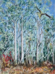 Artists Toowoomba; Paintings Toowoomba; Original artworks Toowoomba; Female Artists Toowoomba; Original Art for Sale Toowoomba; Australian original paintings; Australian Landscapes; Australian Pastel Paintings